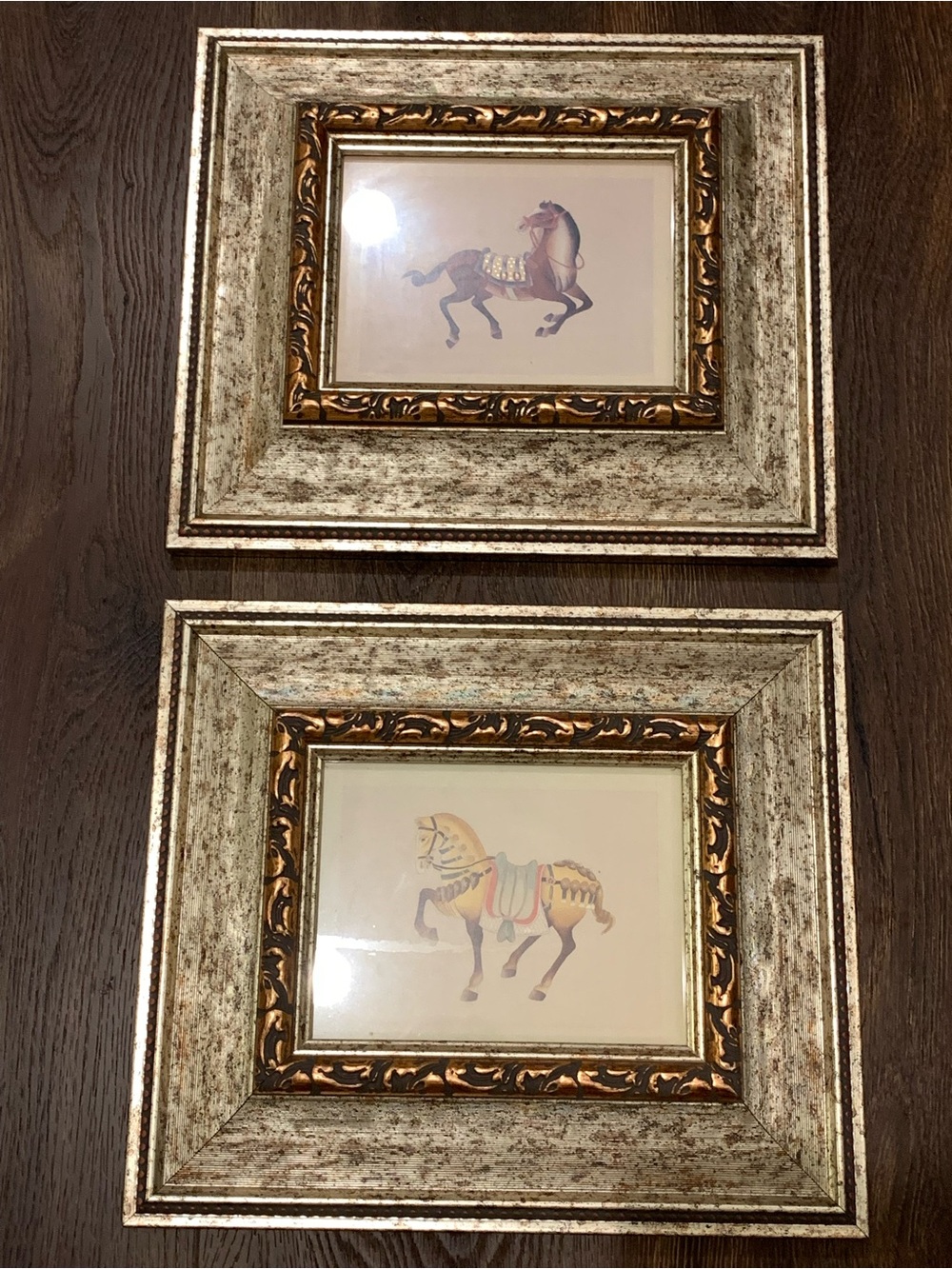 Cheval Dynastic Marwari Horse Framed Prints by The Bombay Co, 15X13" Set Of (2).